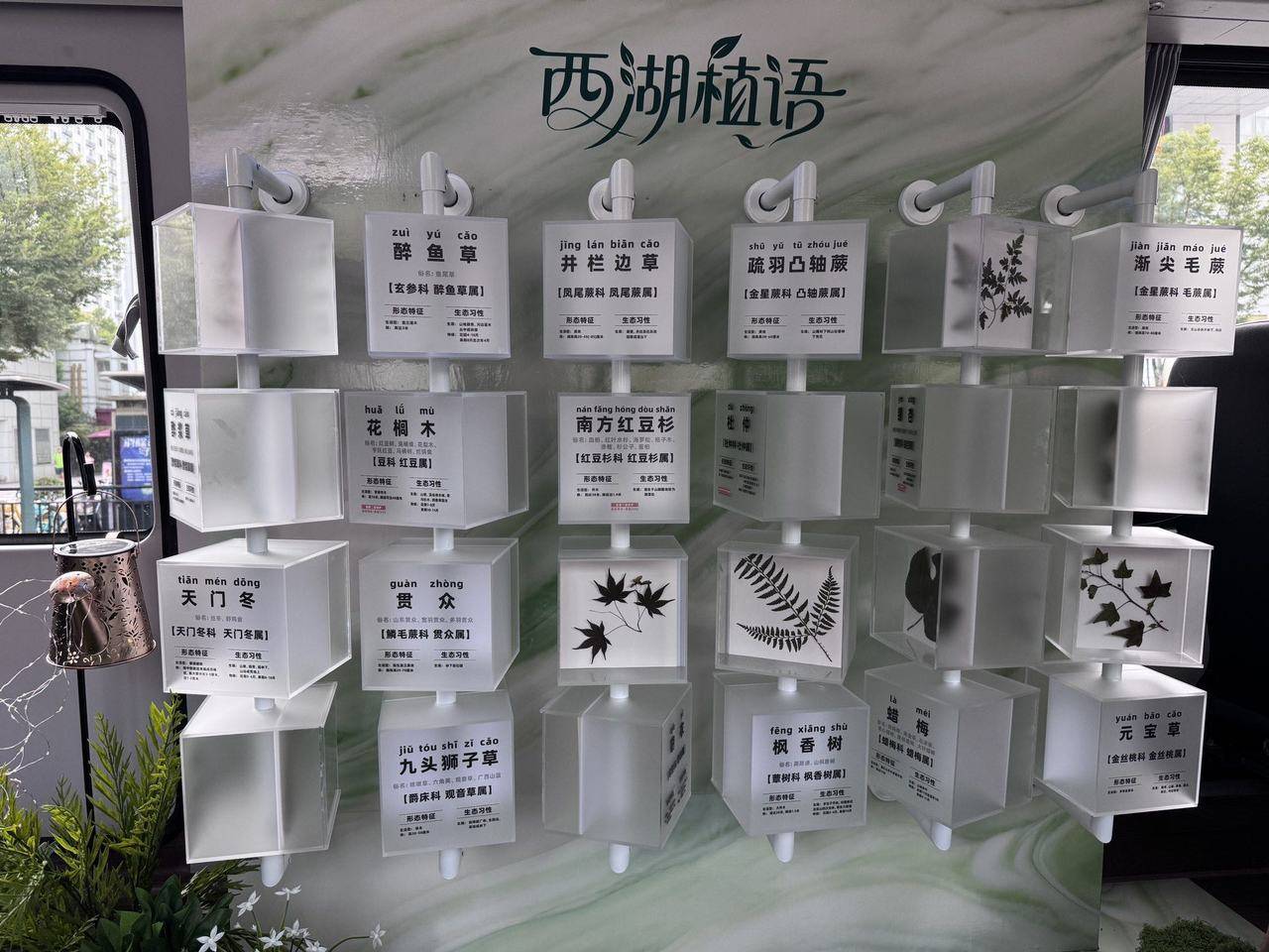 至还有奶茶“西湖夜游观光巴士”票价出炉九游会j9ag有吧台、能听西湖夜语甚(图6)