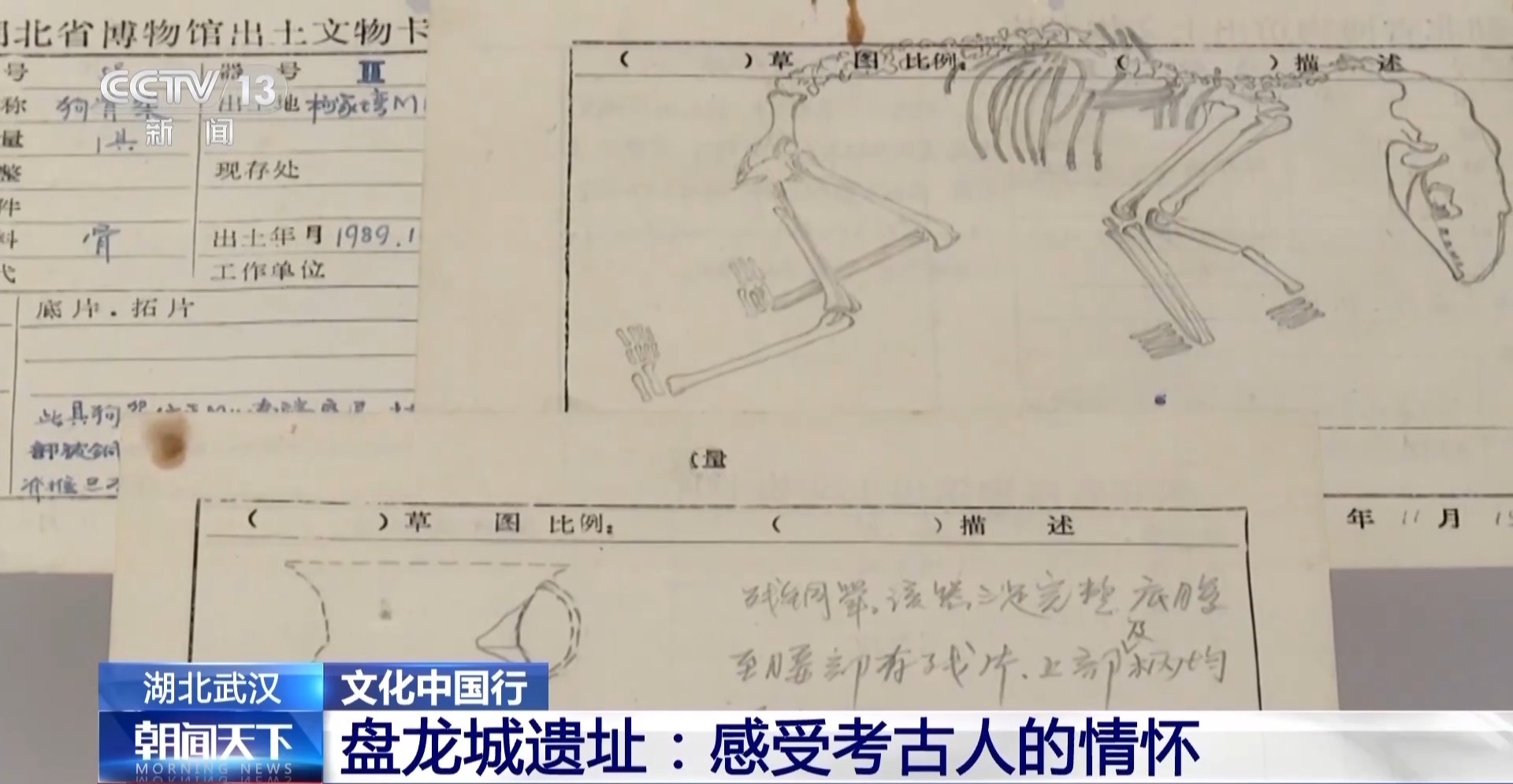 上打着电筒来到这里 写下一首“诗”J9数字平台文化中国行丨考古队员晚(图1)