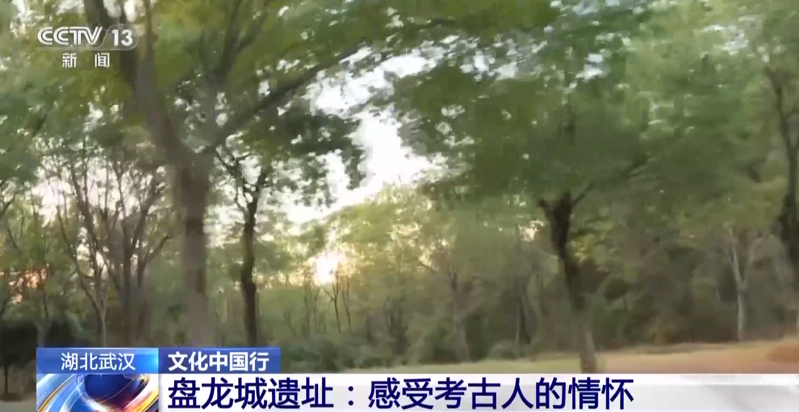 上打着电筒来到这里 写下一首“诗”J9数字平台文化中国行丨考古队员晚(图12)
