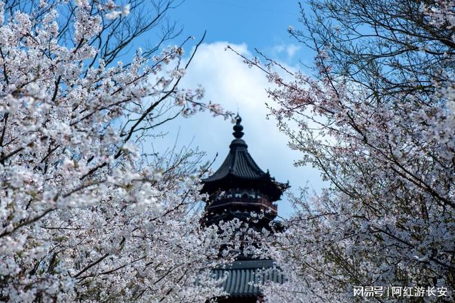 !最新榜单!需求挖掘深度×方案落地精度九游会j9ag无锡定制游公司实力探寻(图3) !最新榜单!需求挖掘深度×方案落地精度九游会j9ag无锡定制游公司实力探寻(图3)