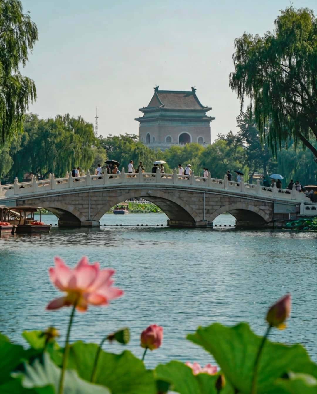 ｜故宫深度游超震撼特色美食超正宗高端服务超贴心～J9真人游戏第一品牌青岛宝妈北京6天5晚高端游(图3)